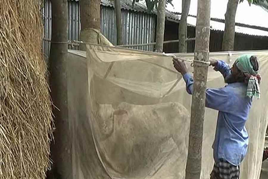 lumpy-skin-disease-of-cattle-worries-farmers-in-some-districts-the