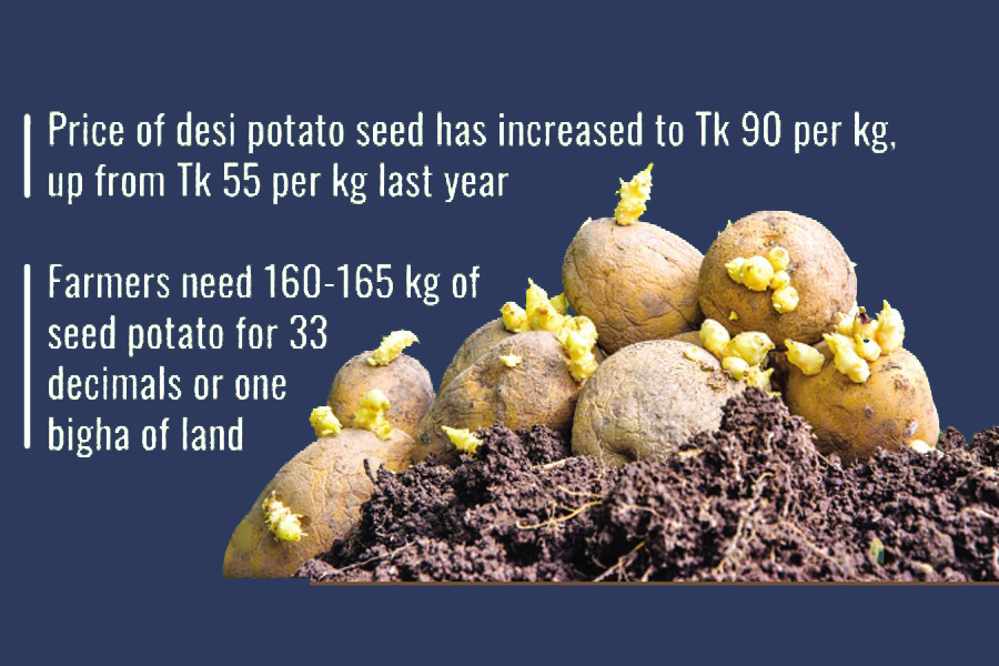 Farmers in a fix as seed potato prices skyrocket The Financial Express