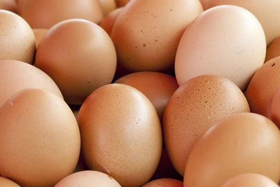 Bangladesh permits egg import | The Financial Express