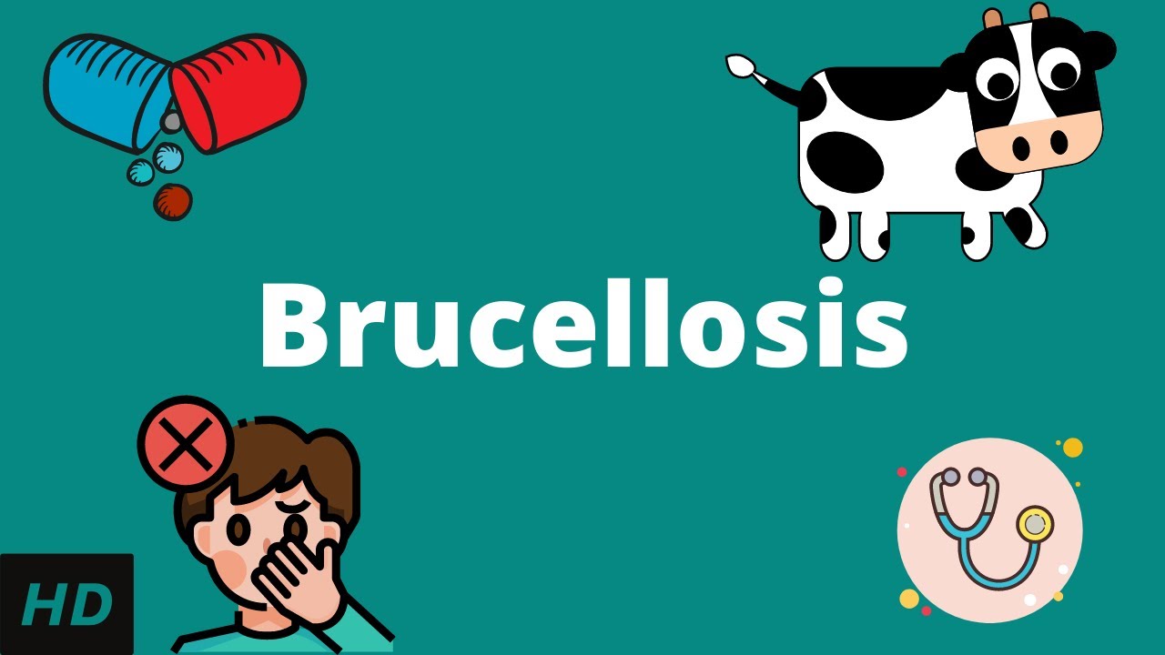 The hidden danger of Brucellosis | The Financial Express