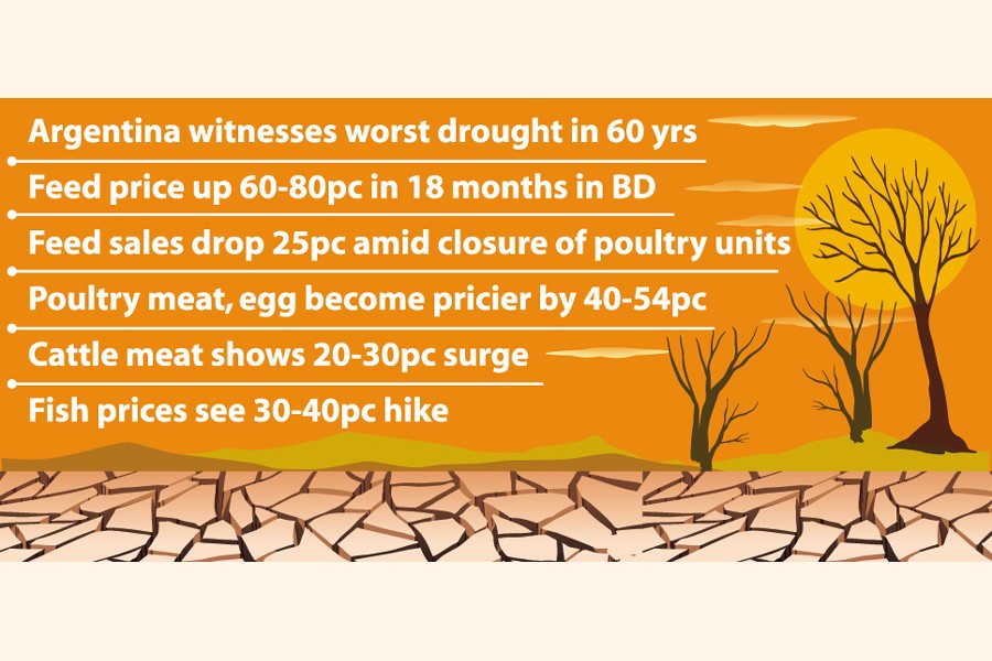 Latin drought Alarm bell rings for feed industry in Bangladesh The