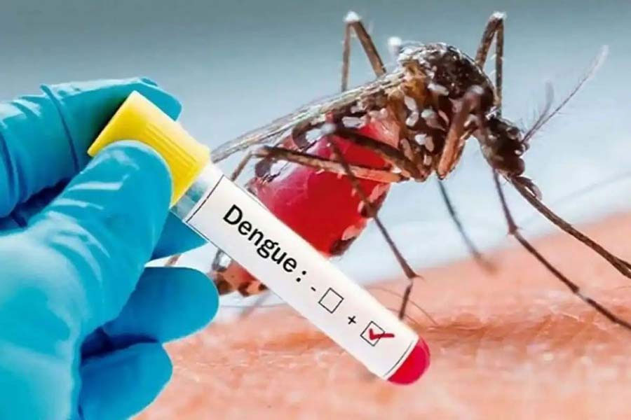 Dengue: Six dead, 1,248 patients hospitalised | The Financial Express