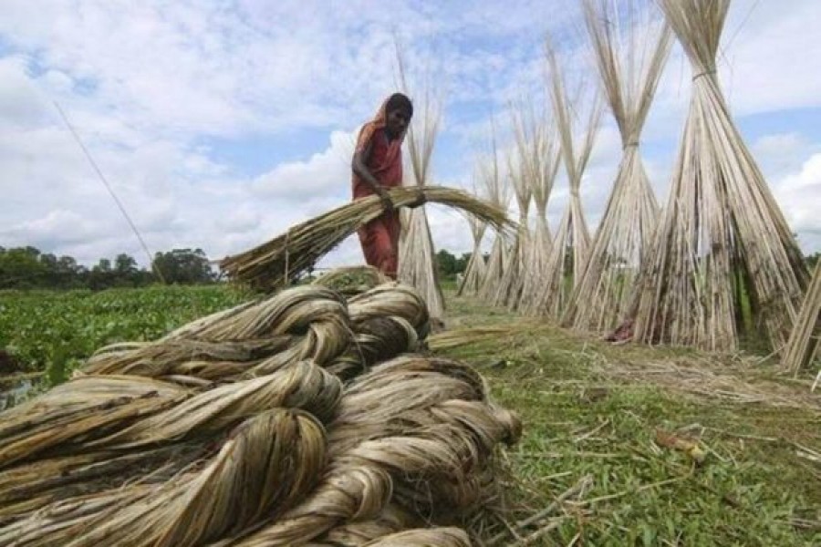 Raw jute exporters push to reduce source tax to 0.25pc The Financial
