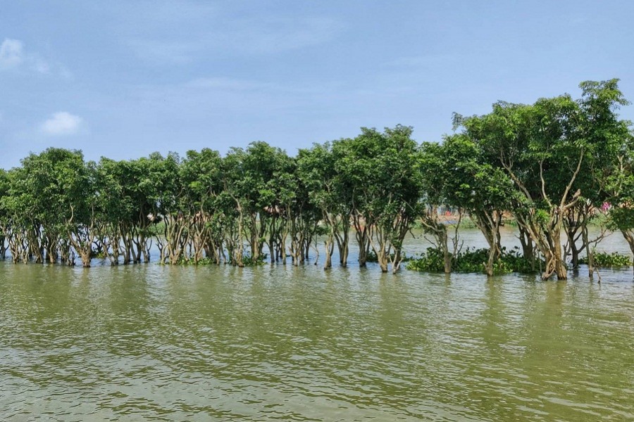 Nikli Haor A journey to relief at your doorstep The Financial Express